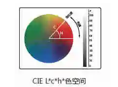 午夜成人福利l值c值h值是什么意思？